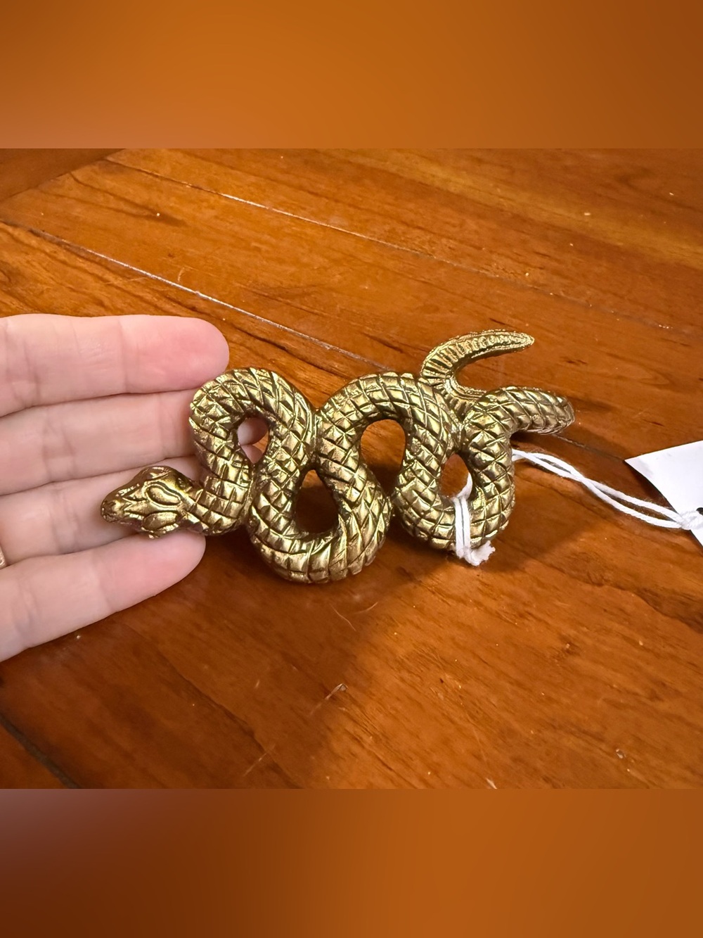 Brass SNAKE Pot Hanger